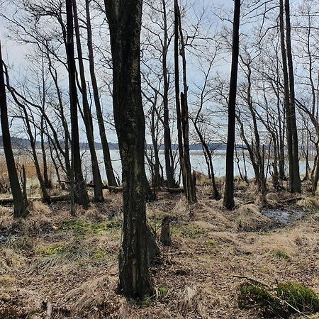 Mtk Pokoje I Apartamenty Смовдзіно Екстер'єр фото