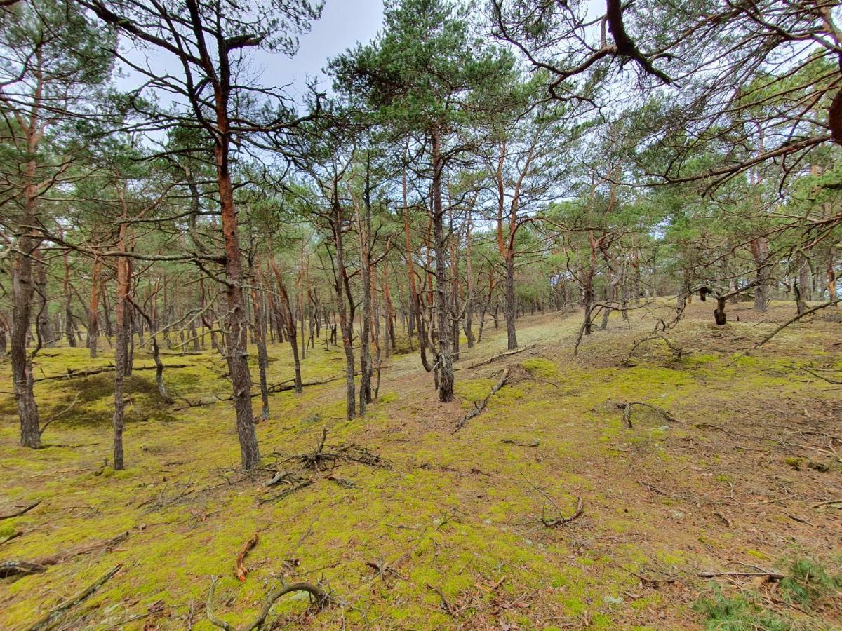 Mtk Pokoje I Apartamenty Смовдзіно Екстер'єр фото